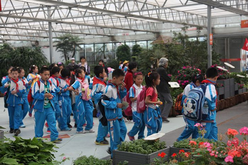 http://www.xinfa0769.com/upload/shop/article/05219107013769041.jpg